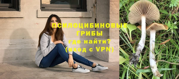 прущие крисы Пестово