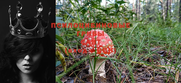 кокс Пересвет