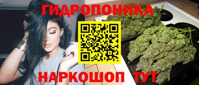 прущие крисы Среднеуральск