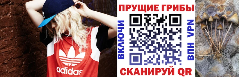 МЕГА tor  Тихорецк  Галлюциногенные грибы MAGIC MUSHROOMS 